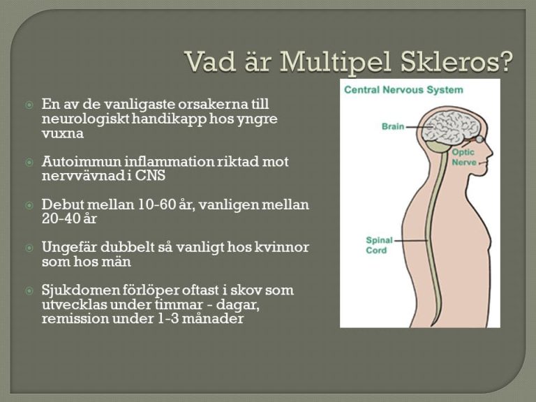 MS Multipel Skleros ms-multipel-skleros